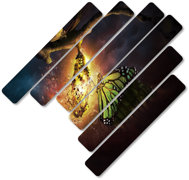 Read more about the article Личностно развитиe: основата на професионалните успехи