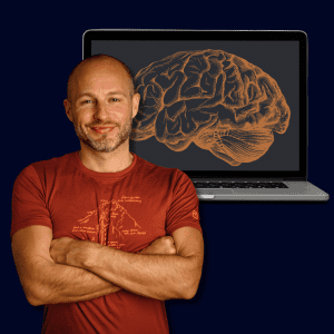 Онлайн курс Meta Reading