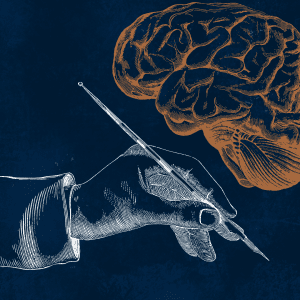 Присъствен курс Метаписане